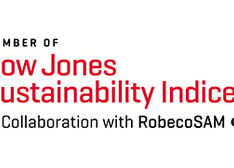 DJSI logotype