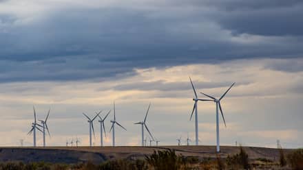 About 20 wind turbines on an open field