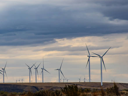 About 20 wind turbines on an open field